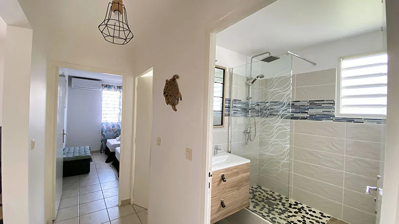 Couloir de l'appartement alizé avec une tortue au mur